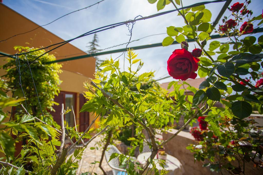 Apartment Dunja Cres Exterior foto